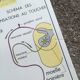 Rossignol school poster N18 the skin and touch / N17 the sympathetic system