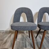 Dining chairs by A. Suman