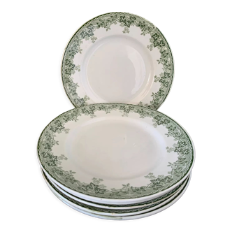 Terre de Fer plates