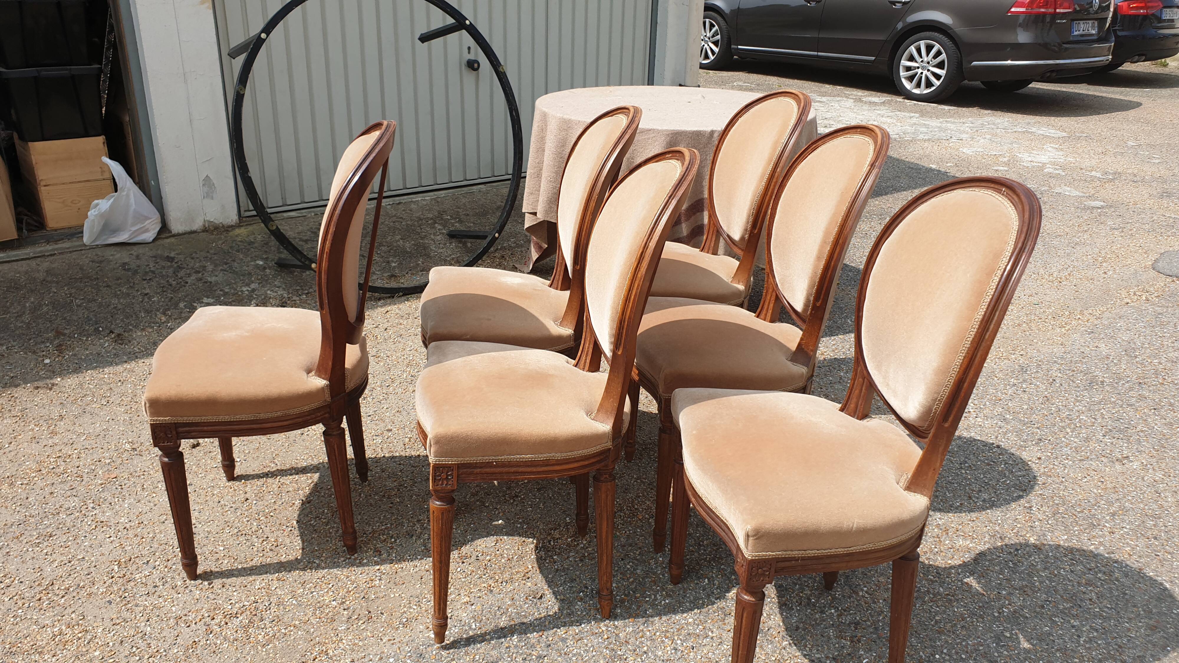 6 Louis XVI medallion chairs