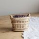 Vintage barbotine sugar bowl / sweet jar blackberry basket