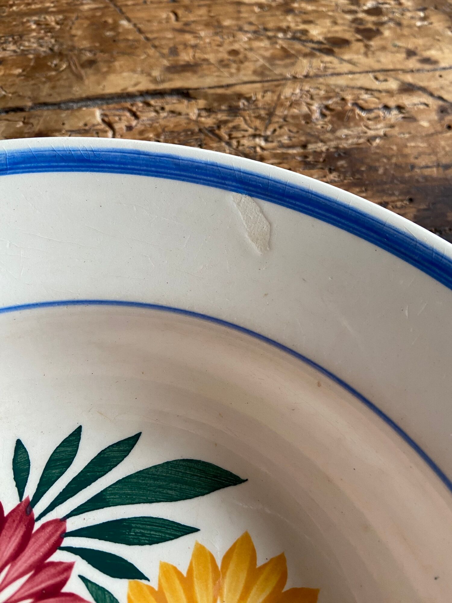 Iron earth plates Blue and pink floral pattern 10 pieces