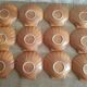 Set of 12 scallops in cognac sandstone Émile Henry - vintage