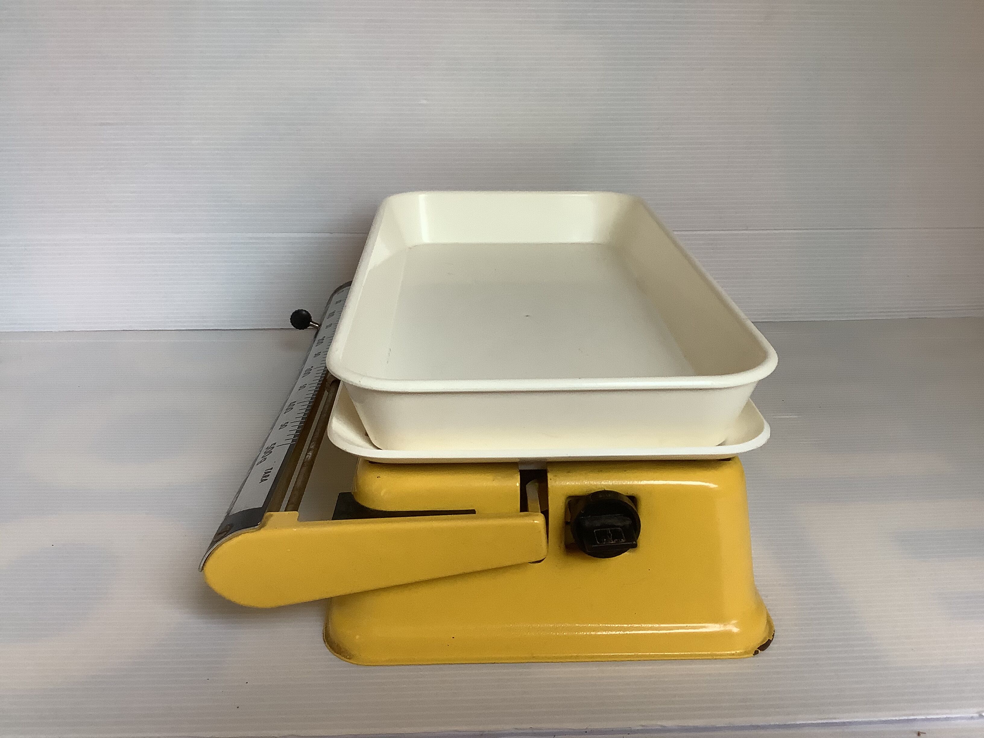 Old yellow scale