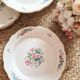 Lot de 6 assiettes à dessert Digoin&Sarreguemines