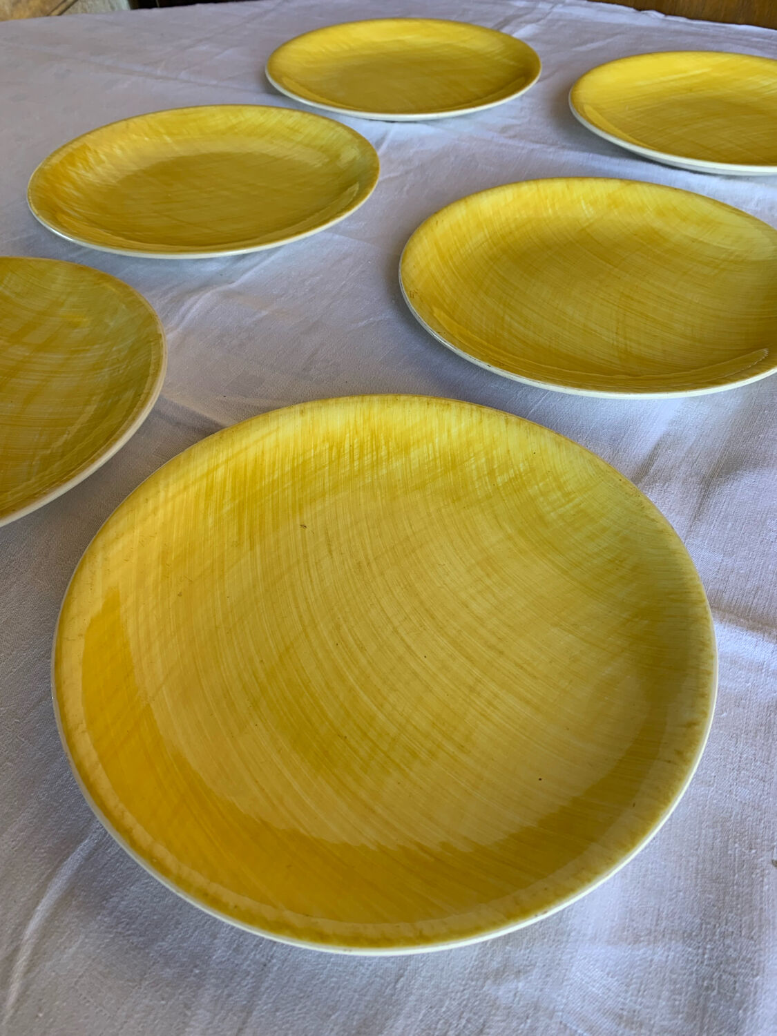 Set de 6 assiettes plates Salins