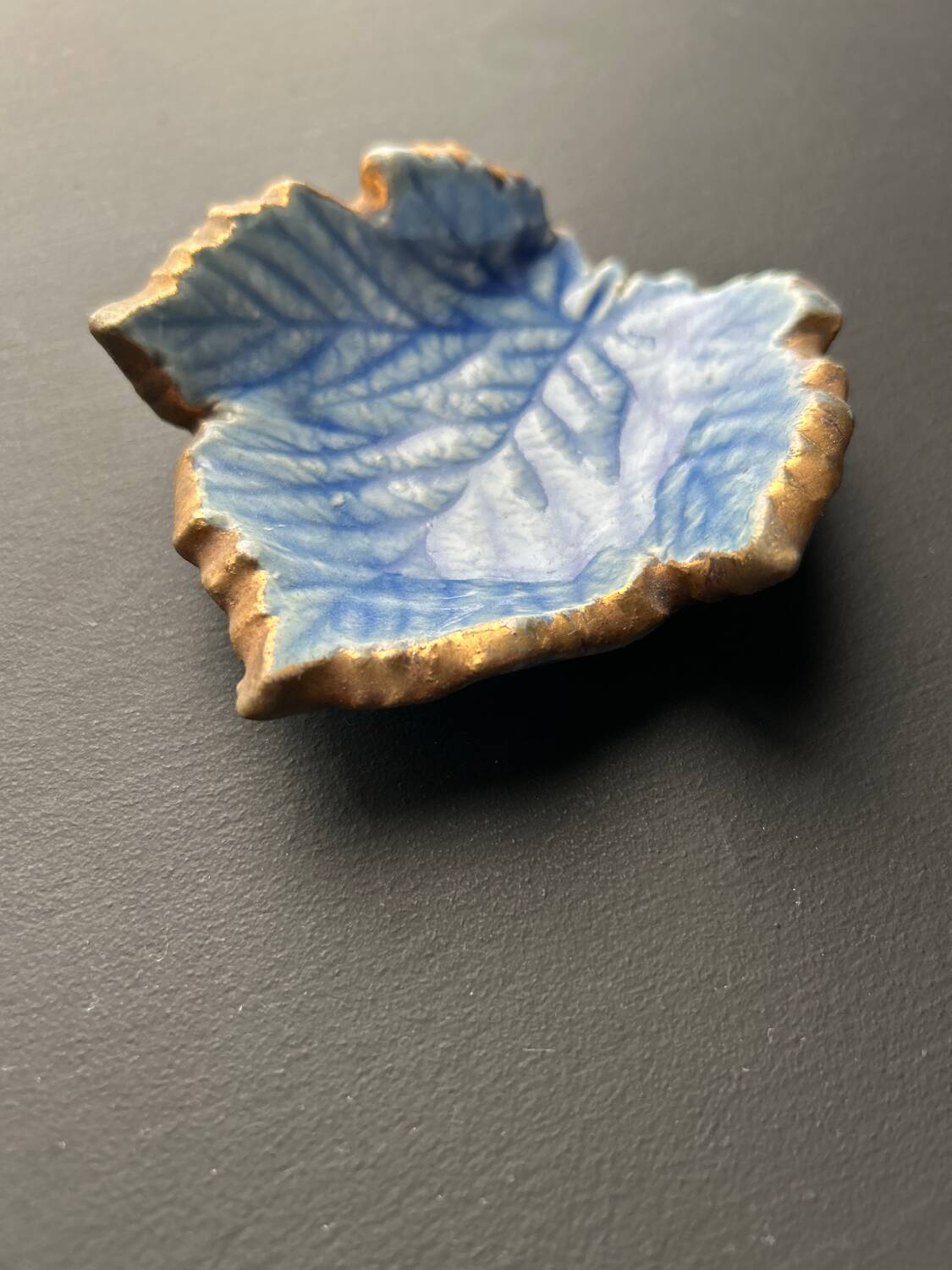 Small Accolay ceramic leaf pocket