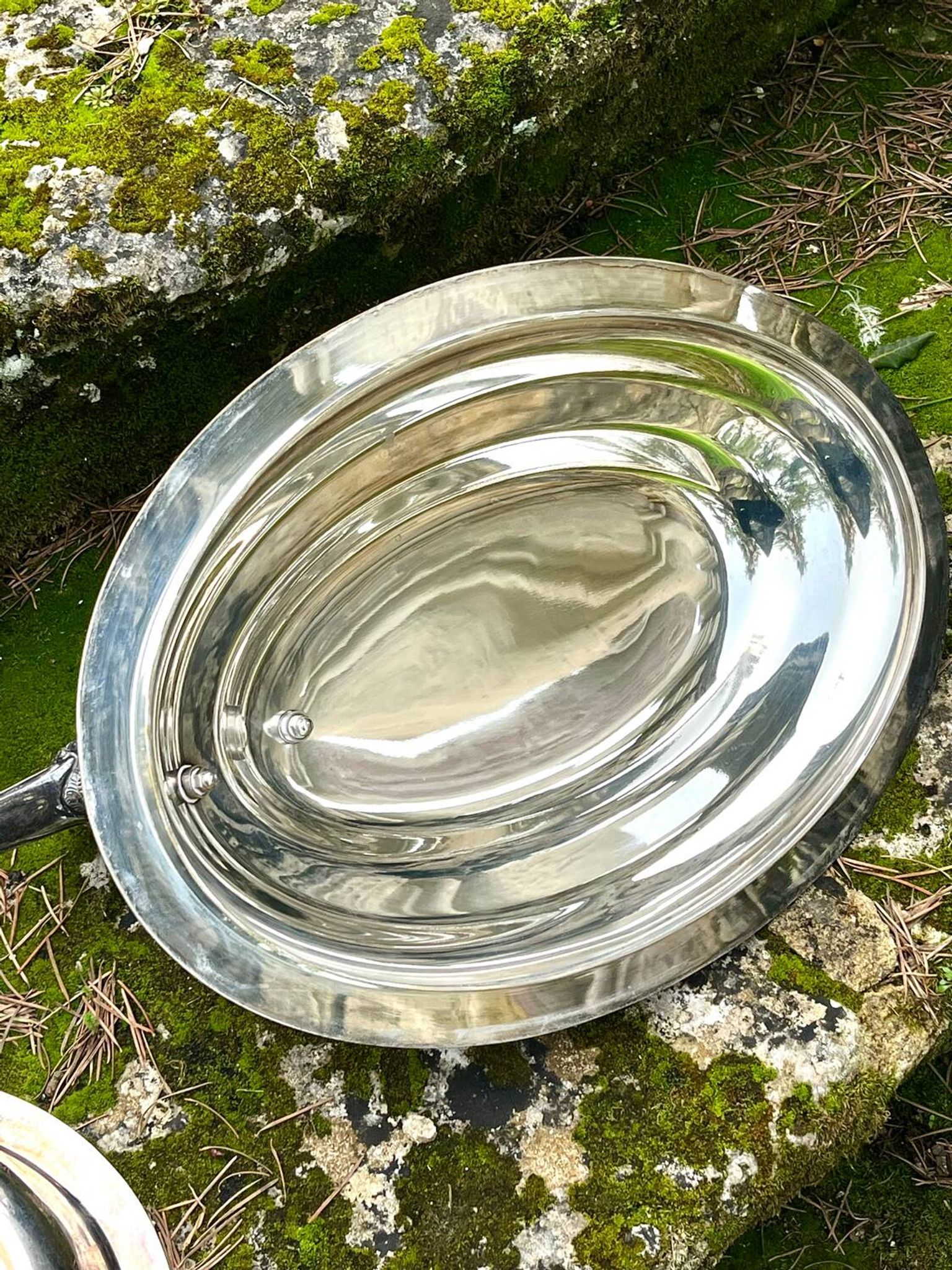 Duck Serving Platter – Vintage French EPNS Silver Plated Game Dish