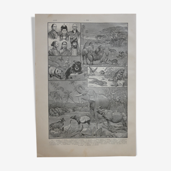 Lithographie gravure et carte de l'Asie datant de 1905