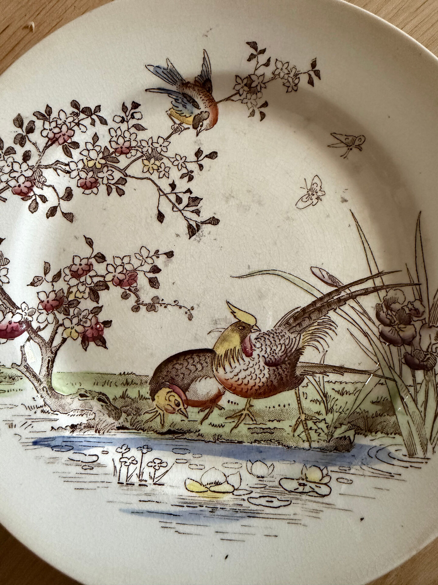 Polychrome ironstone dessert plates from Digoin and Sarreguemines.