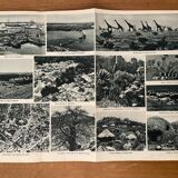 Old map of North and Central Africa from 1945