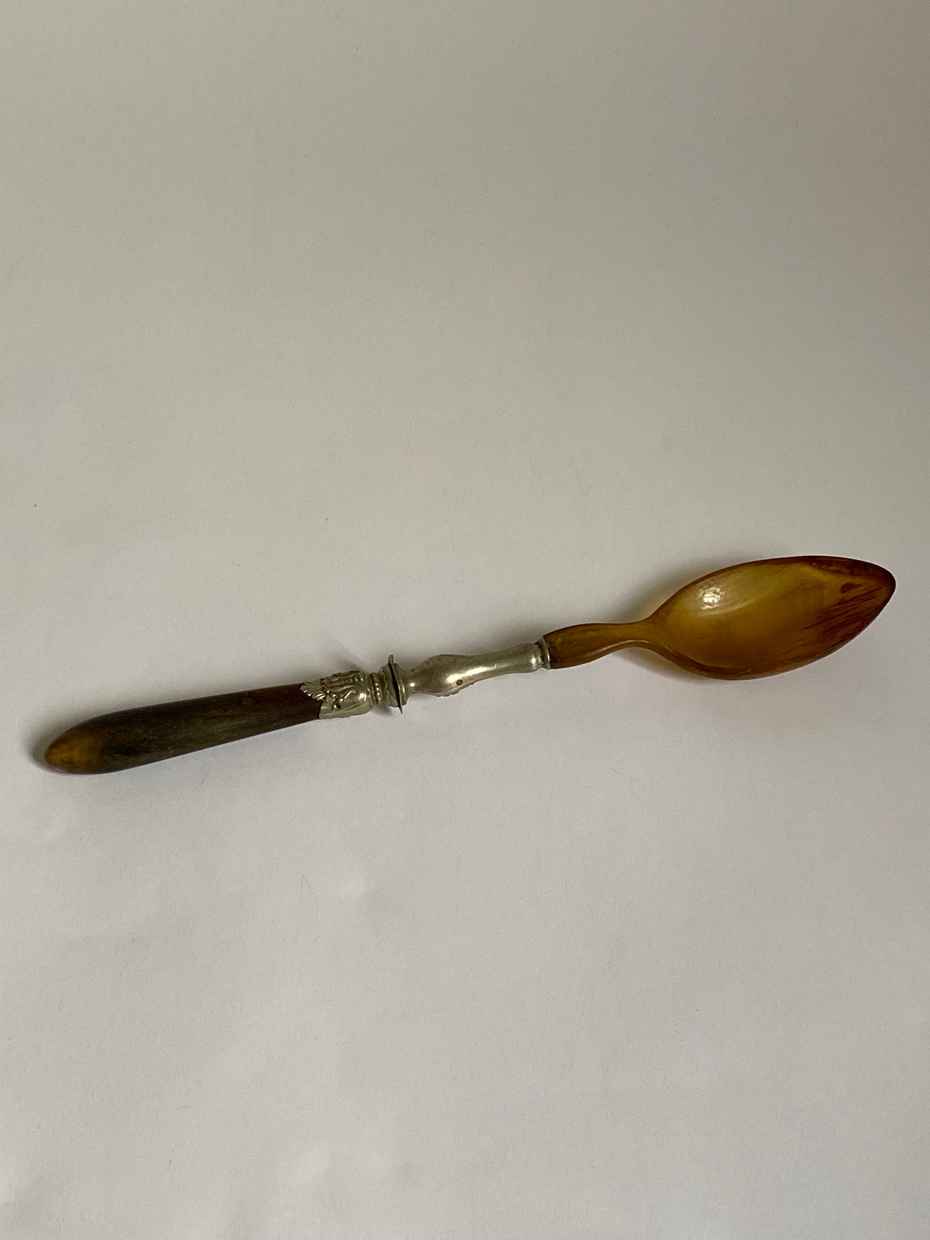 Cuillère en corne et métal argenté
