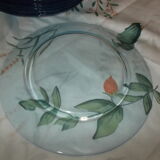 Lot 6 flat plates arc-france blue
