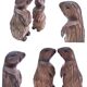 Deux marmottes bois sculpté art populaire français
