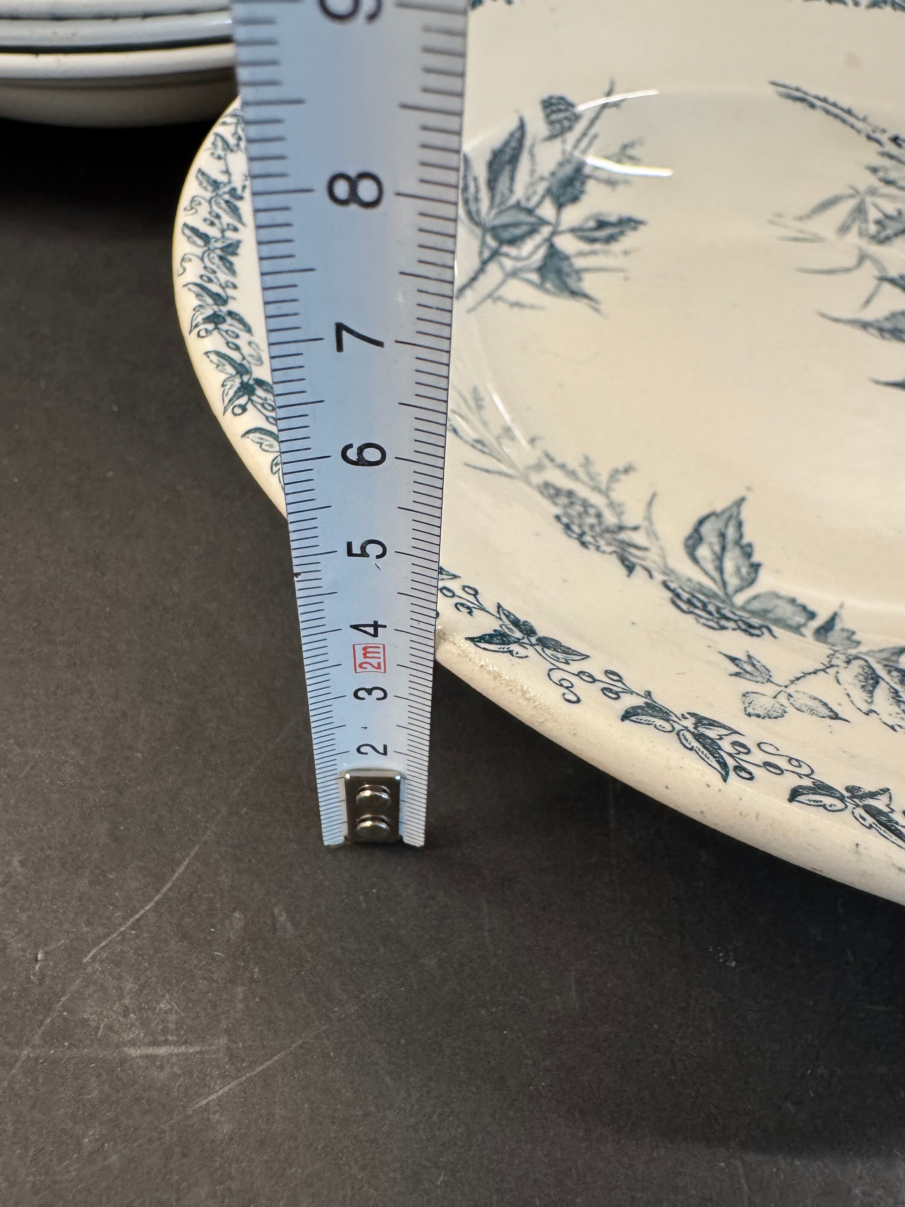 6 deep plates in ironstone "Mûre" Badonviller