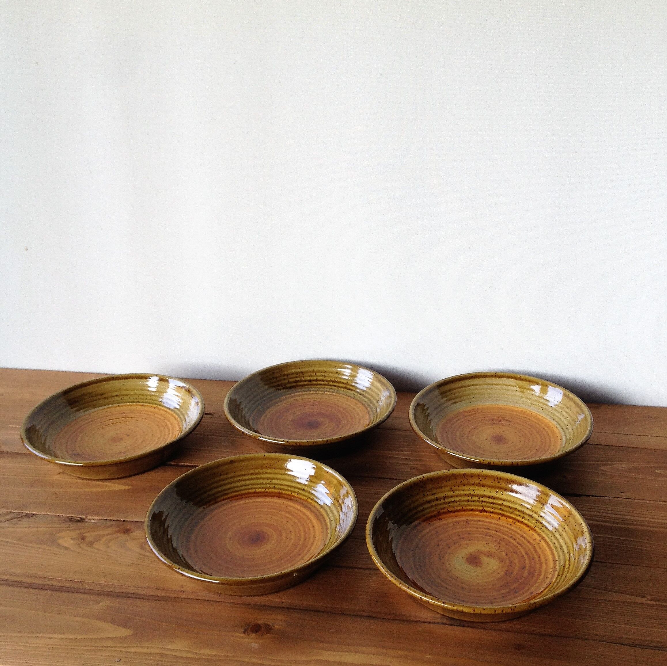 5 soup plates in sandstone pyrite - Saint Amand