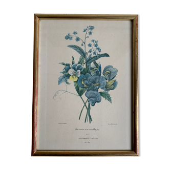 Lithographie P. J Redouté