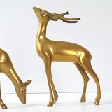 Golden brass deer & DOE 1970