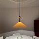 Large Adjustable Pendant Lamp with Counterweight by Florian Schulz