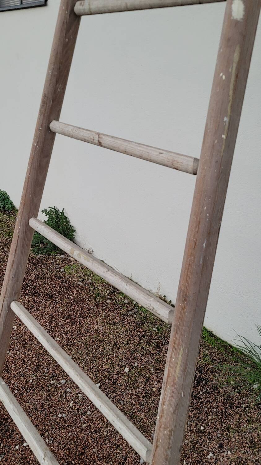 Old wooden fruit harvest market gardener's ladder - 3m65