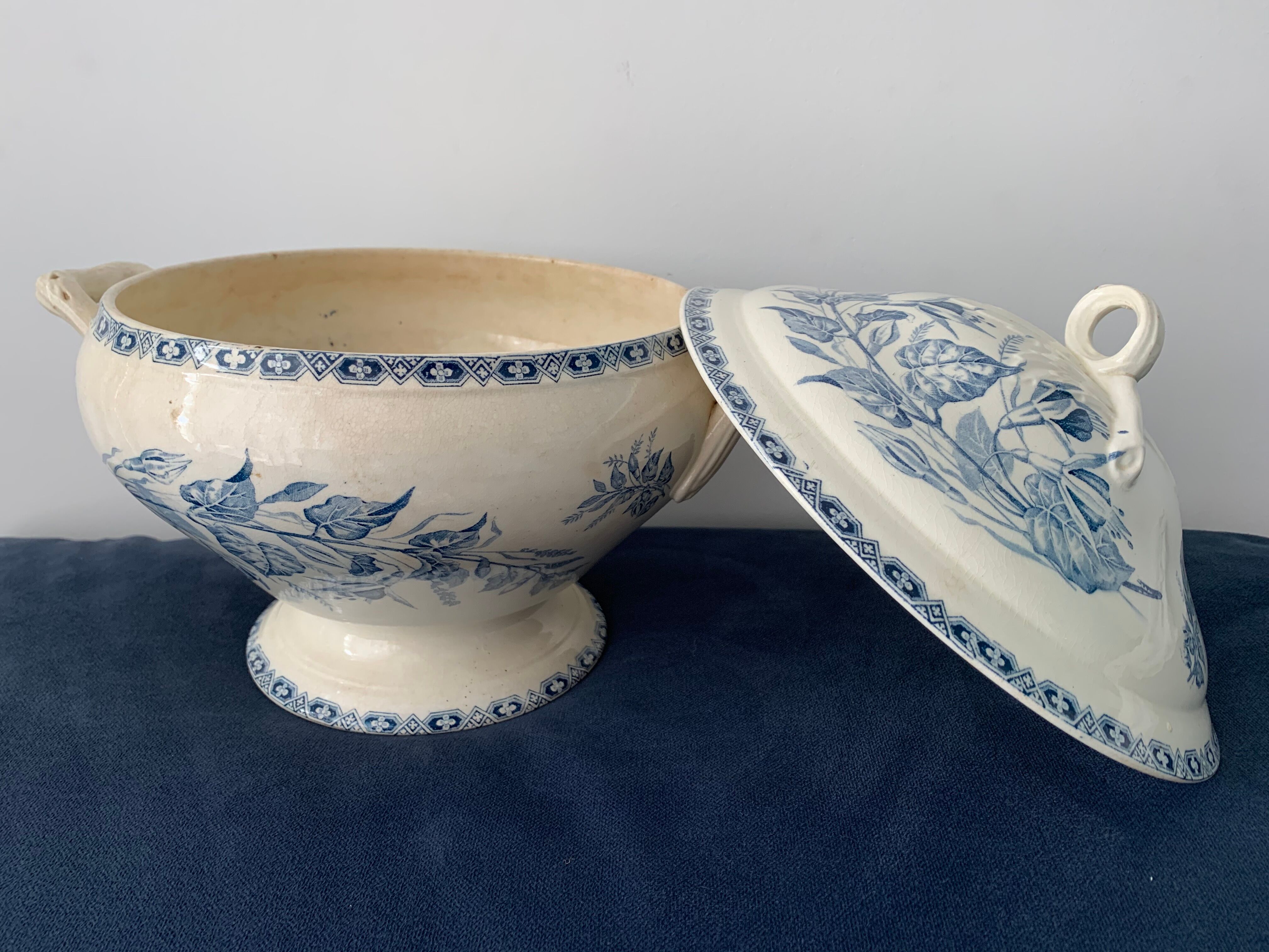 Old blue soup, Terre de Fer, martha model