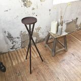 Support sculpture or tripod plants