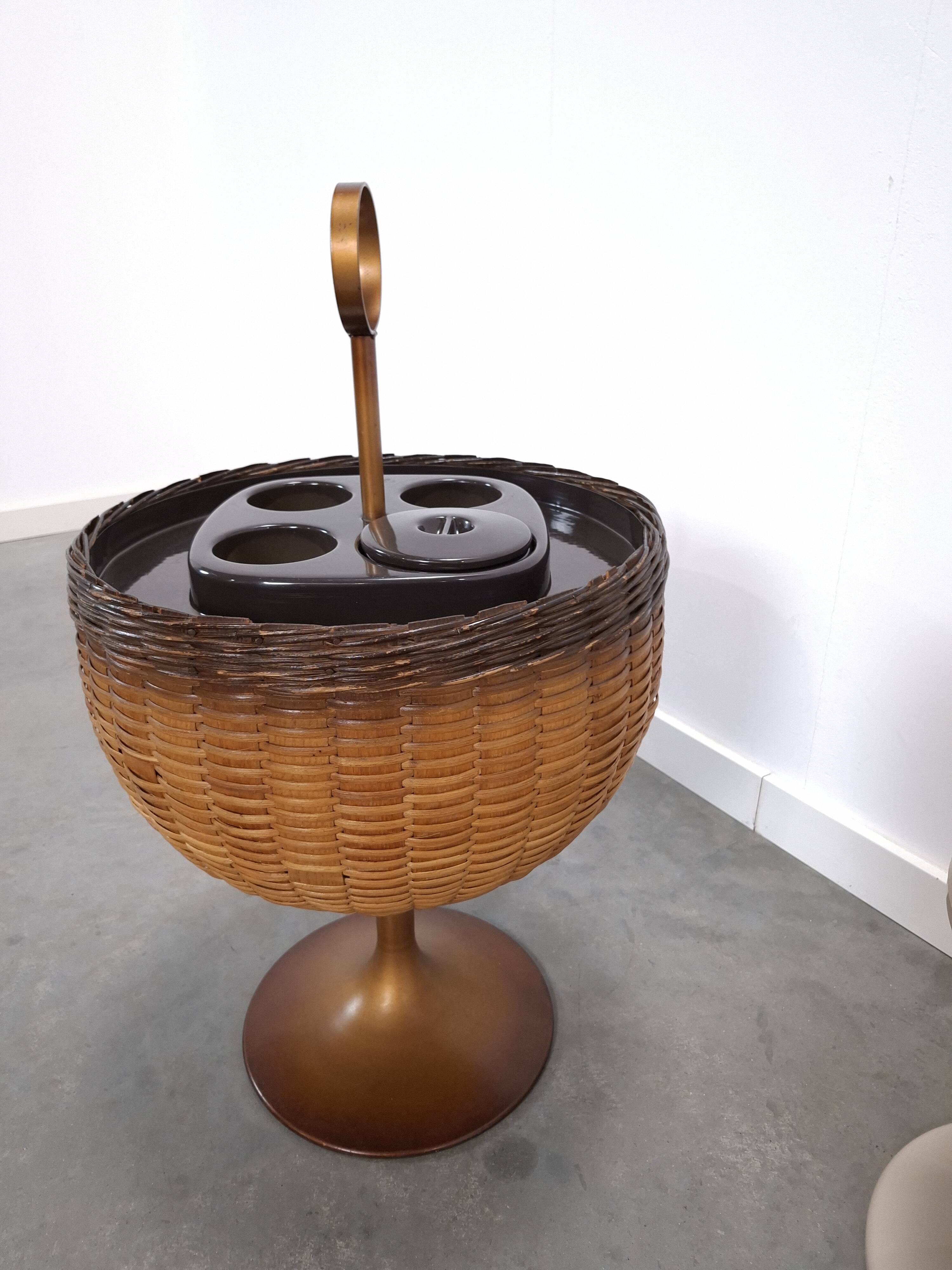 Draagbare bar, wijnkoeler met rotan en kunststof