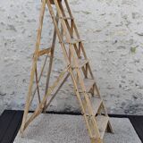 Large stepladder