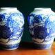 Pair of blue and white chinese vases