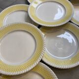 Dinner plates