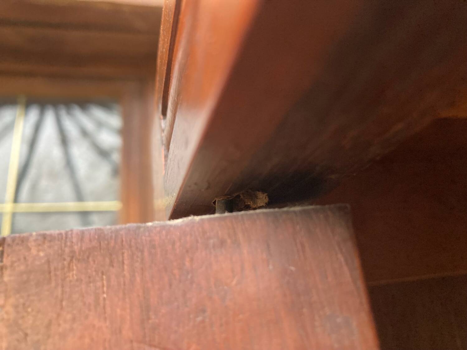 Vintage glass-fronted cabinet