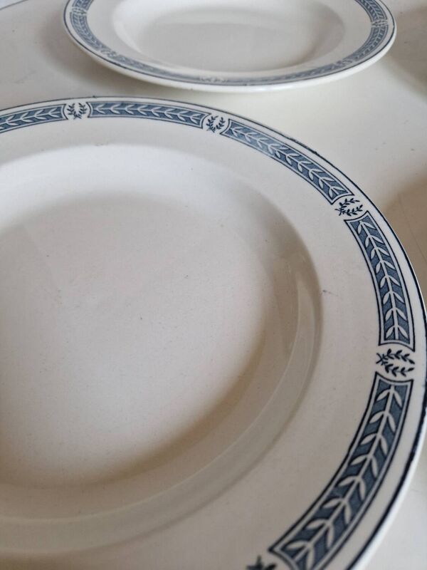 Lot de 14 assiettes Terre de fer Salins modèle Castellane