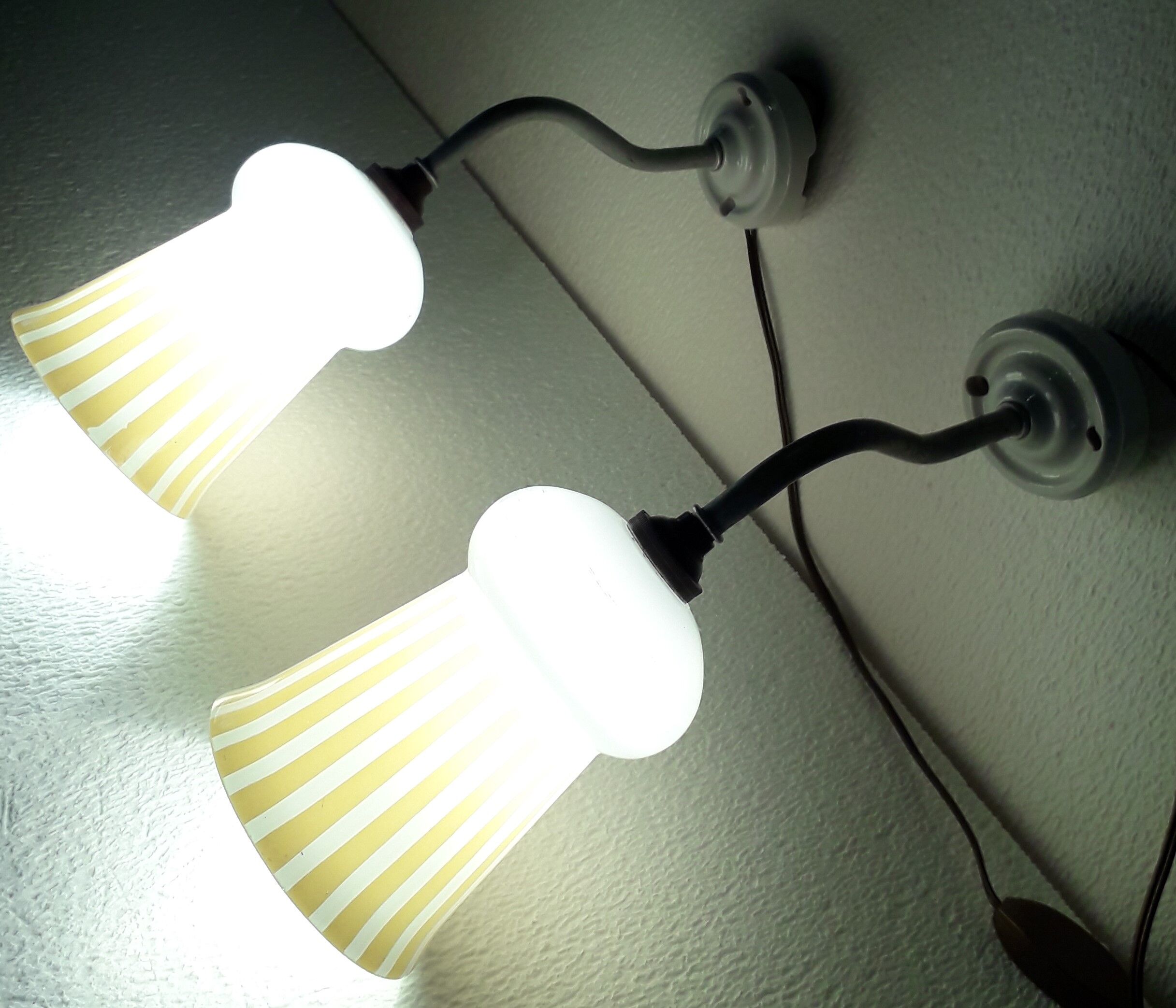 Duo of swan collar wall lamps