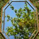 large mirror bestelnummer parcloses bisautées, circa 1980 73x93cm