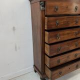 Empire period chest of drawers in mahogany and veneer, 19th century