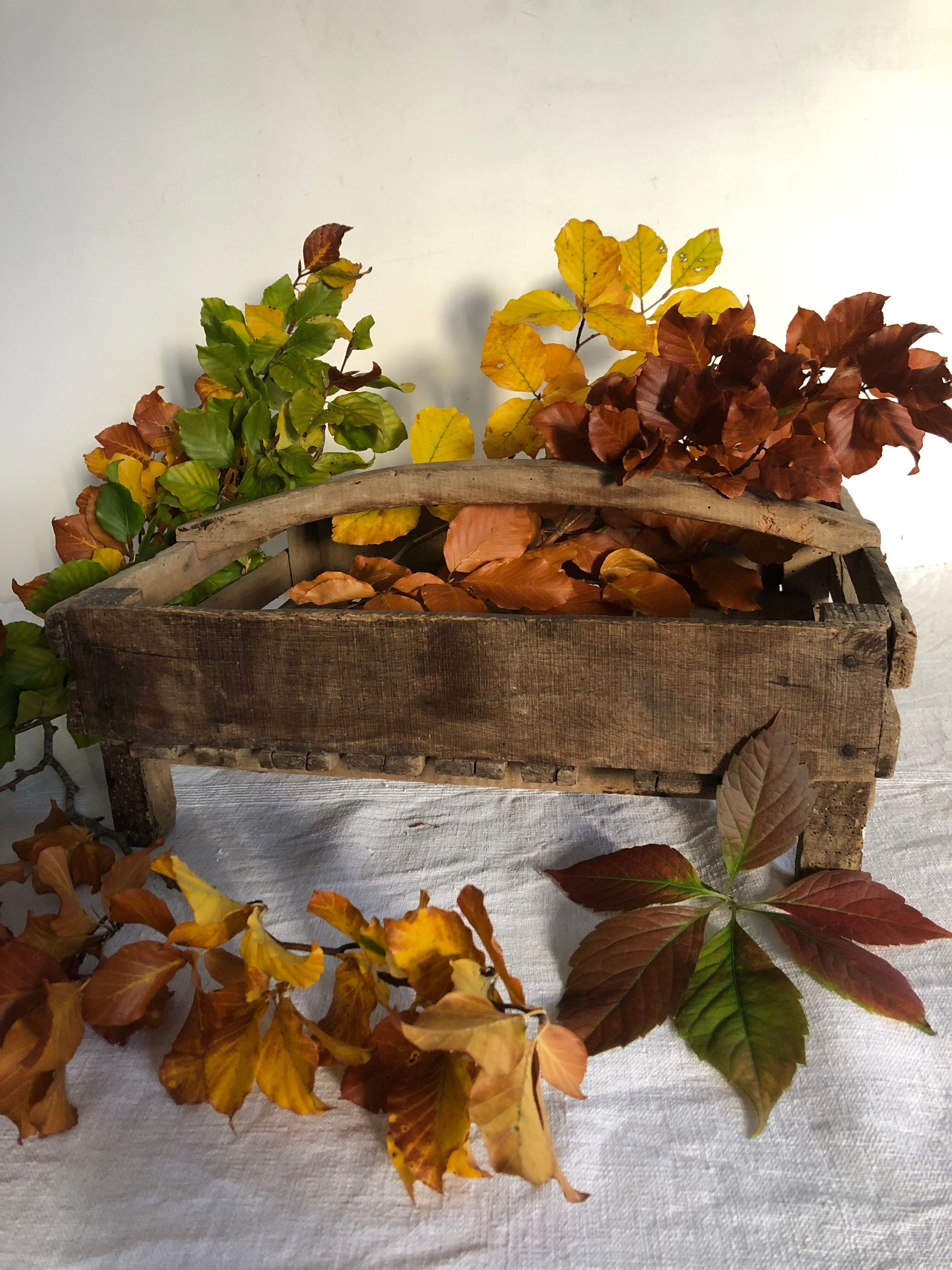 Wooden shelf with handle, garden basket