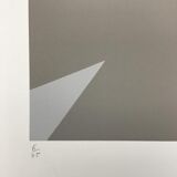 The Shadow and the Bird - Andrée Vilar