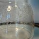Carafe Baccarat signée