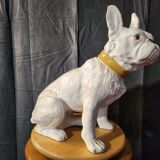 Bouledogue français en céramique manufacture de bavent 1900 france.