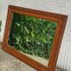 Old mirror