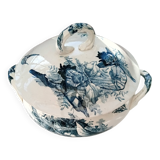 Tureen Iron Earth Orchids