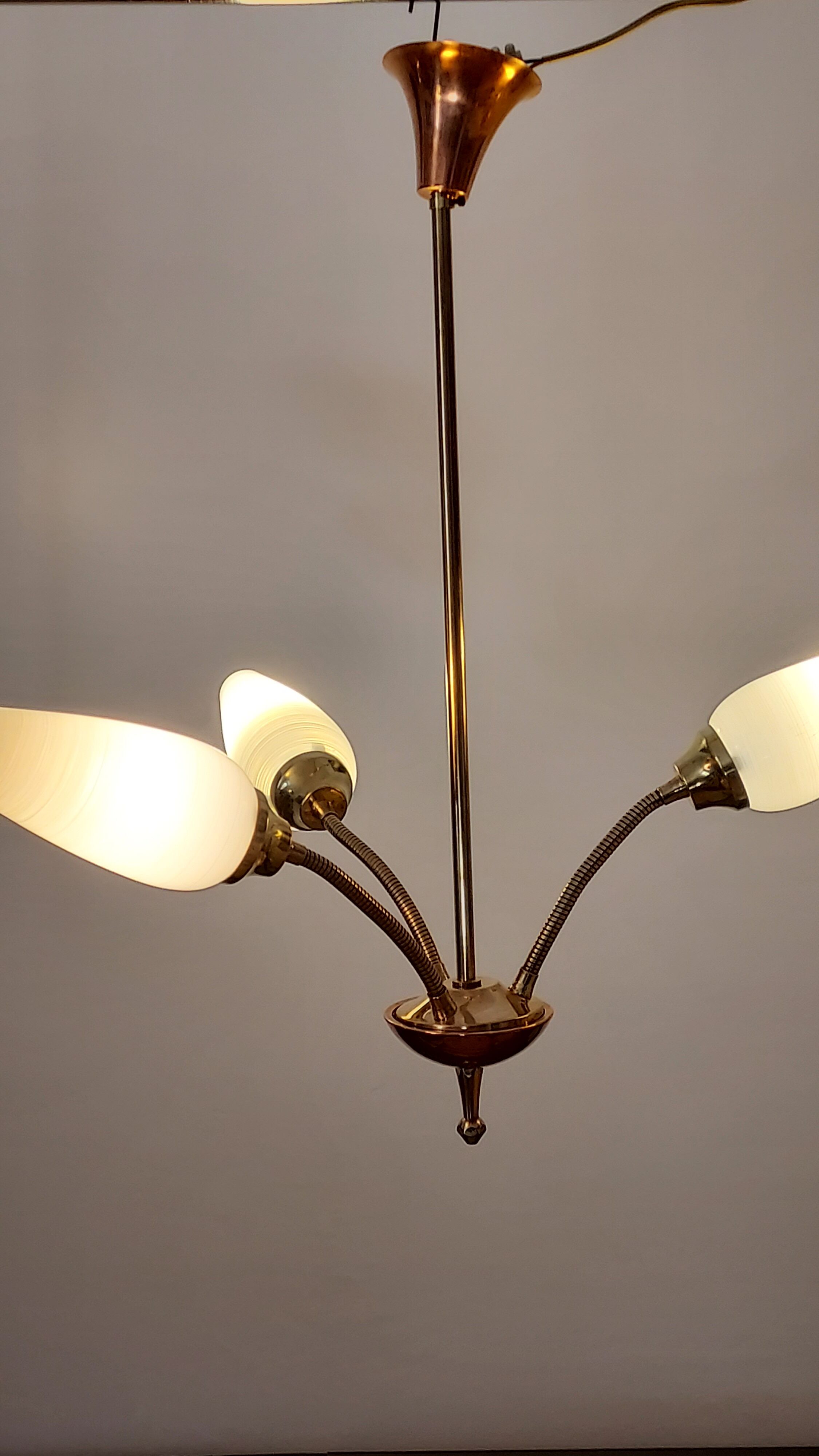 Suspension years 50-60