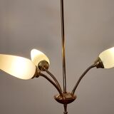 Suspension years 50-60