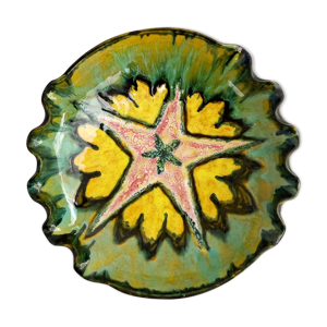 Plat étoile d'Yvon Roy