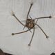 Ceiling light fixture with 6 branches "lily flowers/aromas"