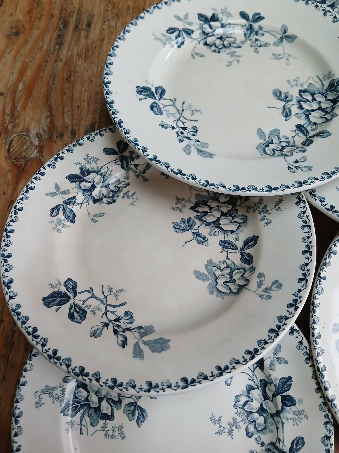 Set of 6 Terre de Fer plates, Acacia model