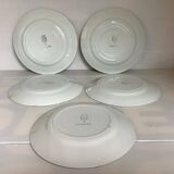 Cinq anciennes assiettes plates faïence année 30 modèle nymphéas