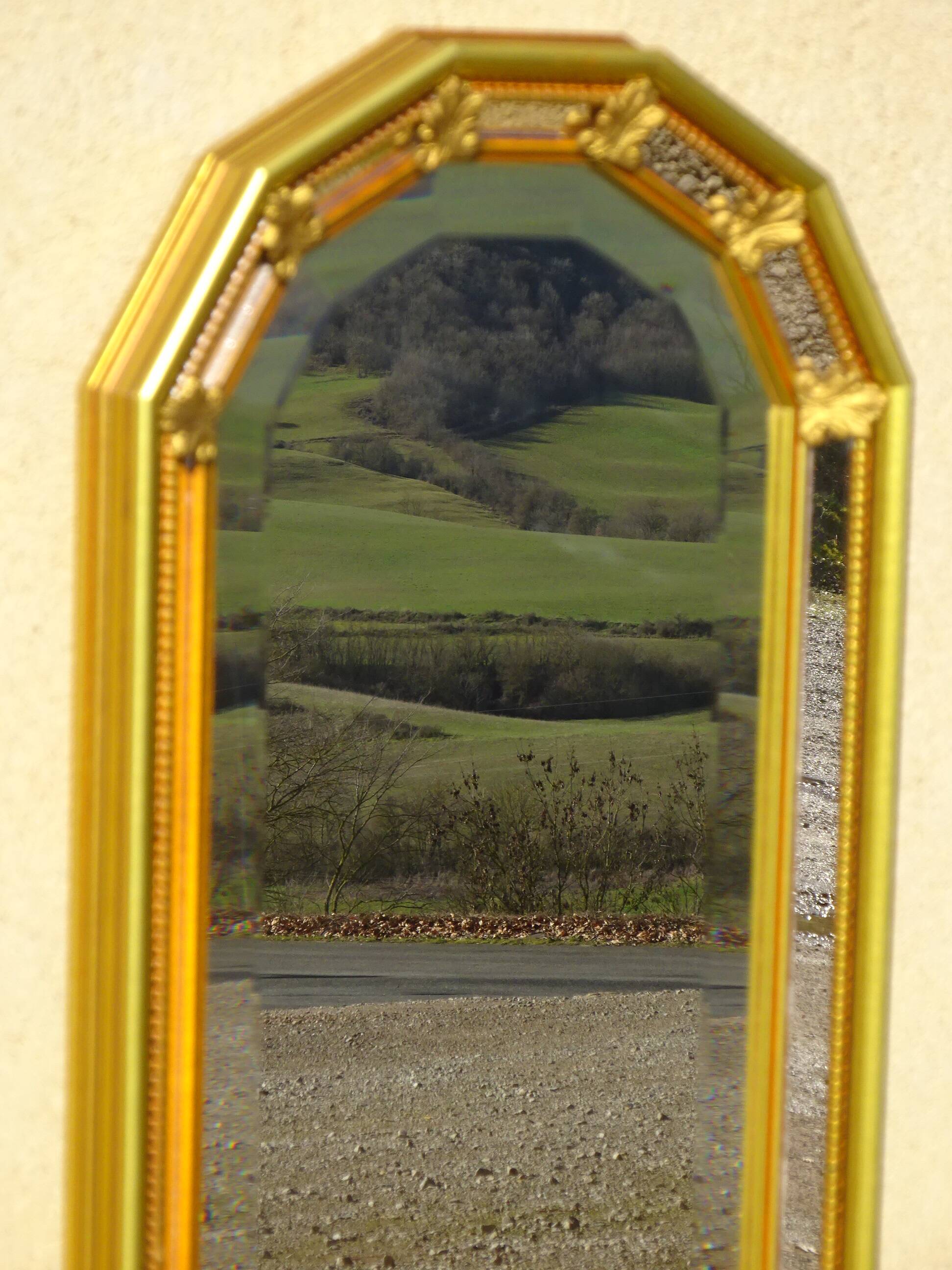 Miroir à parecloses, fleurs de lys, 99cmx30cm