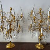 Pair of lamps in gilded bronze and crystal
