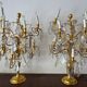 Pair of lamps in gilded bronze and crystal